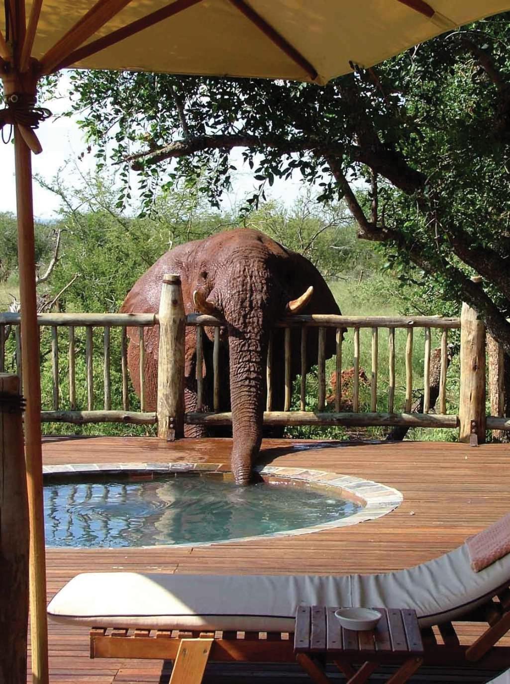 Etali Safari Lodge Madikwe Game Reserve Dış mekan fotoğraf