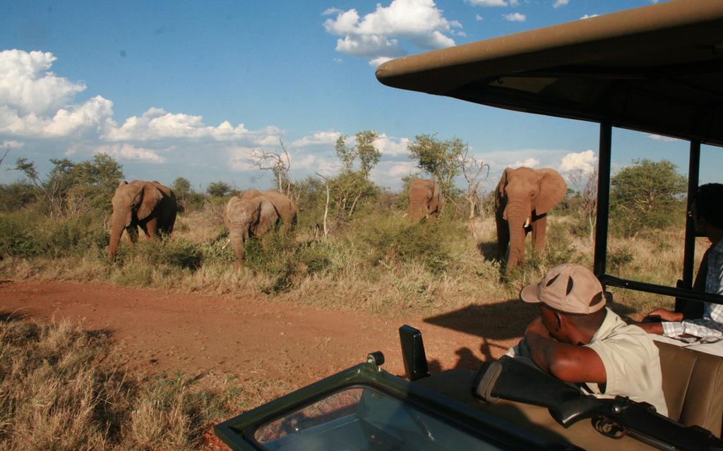 Etali Safari Lodge Madikwe Game Reserve Dış mekan fotoğraf